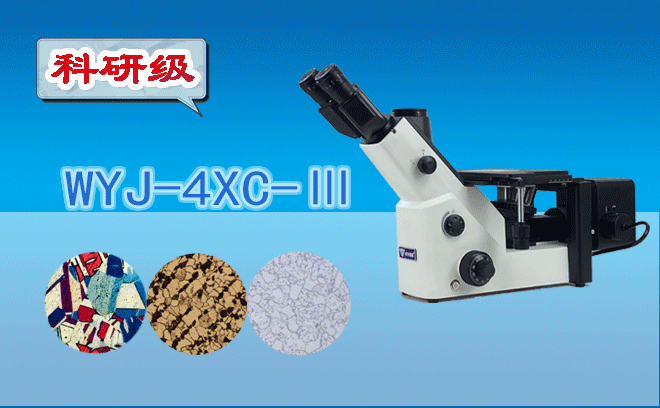 金相91短视频版在线观看高清.png