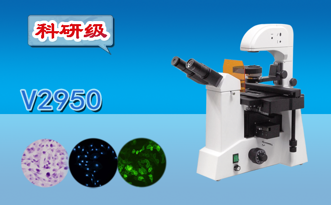 倒置熒光91短视频版在线观看高清的組成和功能應用