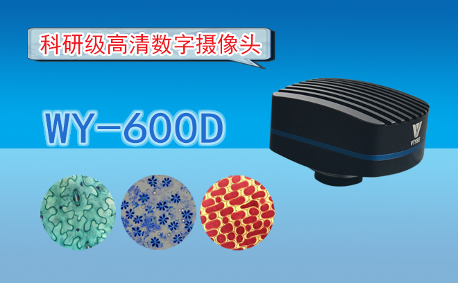 視頻91短视频版在线观看高清CCD相機和CMOS相機有哪些區別呢？